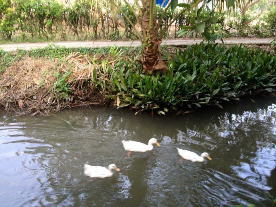 Nam Thanh Homestay Vĩnh Long Exterior foto